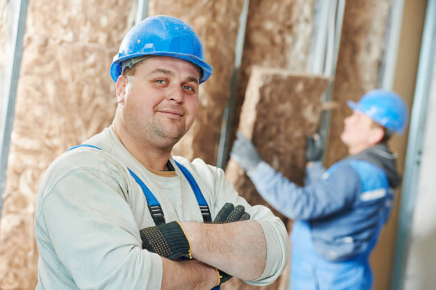 Best Commercial Insulation in Waterville, MN