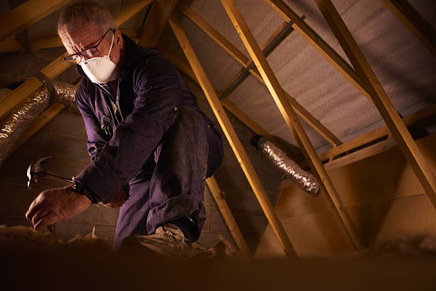 Best Specialty Insulation in Waterville, MN