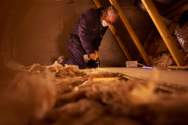 Best Residential Insulation in Waterville, MN
